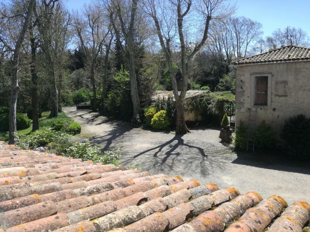 Mon Petit Soulie Bed & Breakfast Loupia Eksteriør bilde